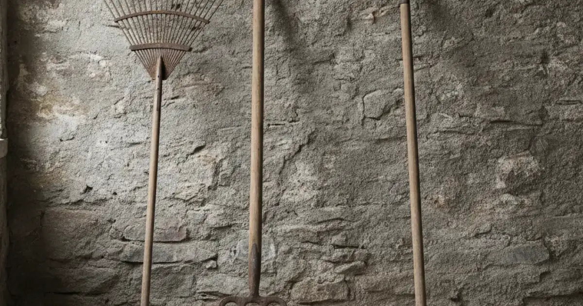 Outils de jardin alignés contre un mur : râteau, fourche-bêche, râteau scarificateur