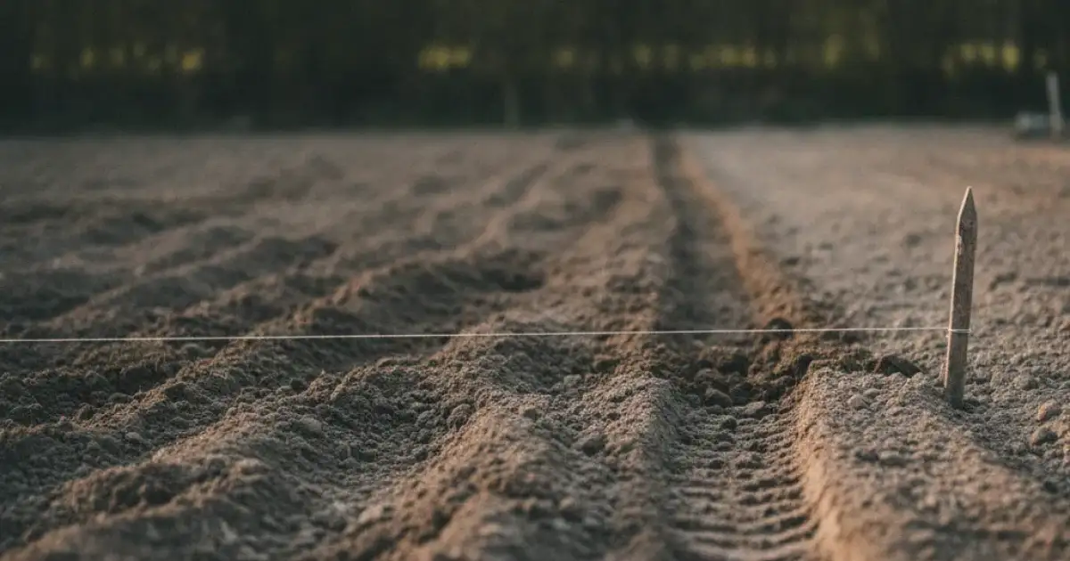 Terrain de jardin en cours de préparation mécanique, terre remuée et cordeau tendu au premier plan